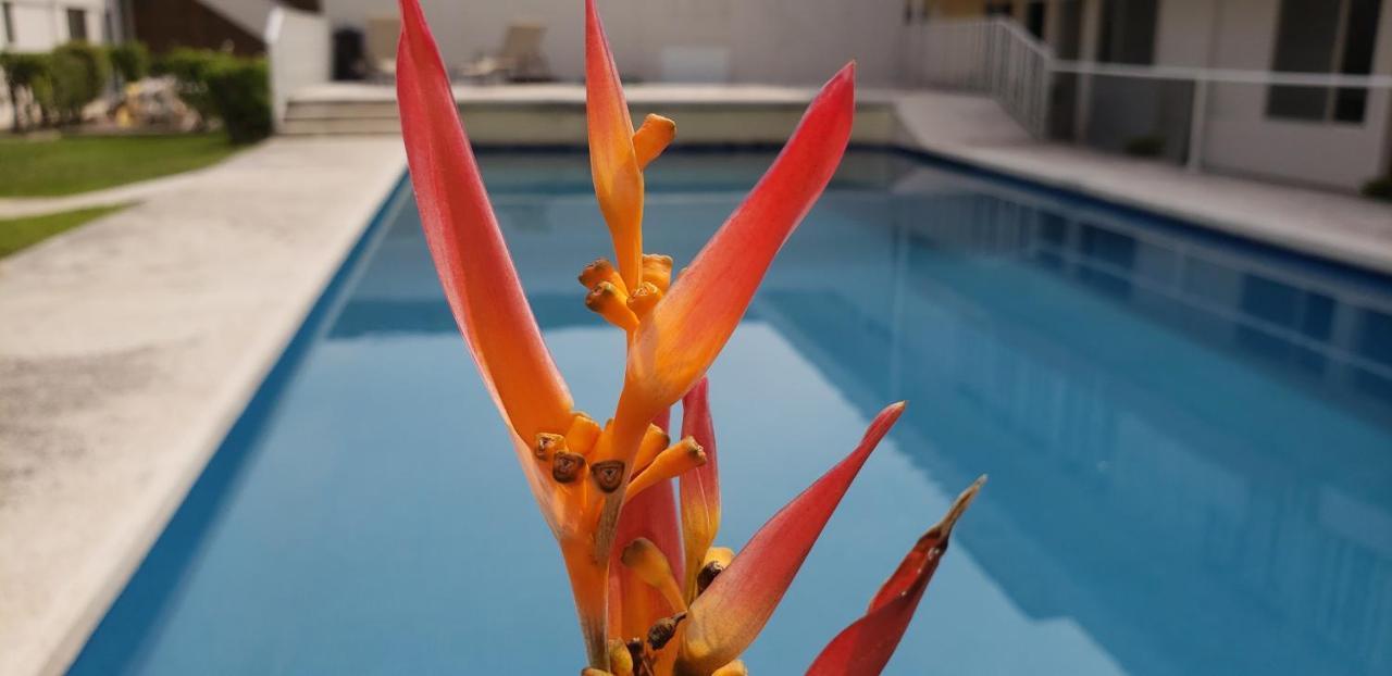 Aohom Santuario Hotel & Spa Jiutepec Zewnętrze zdjęcie